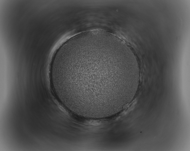 X0000088230341200705221829