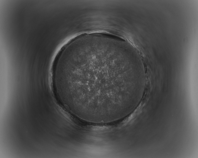 X0000088230342200705221829