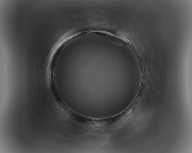 X0000088230343200705221829