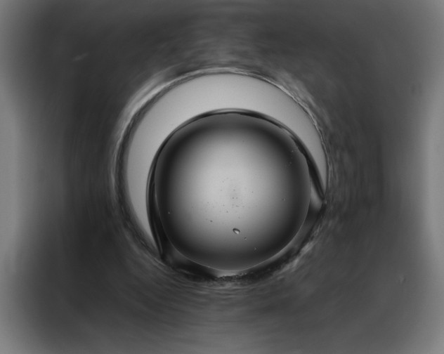 X0000088230344200705221829