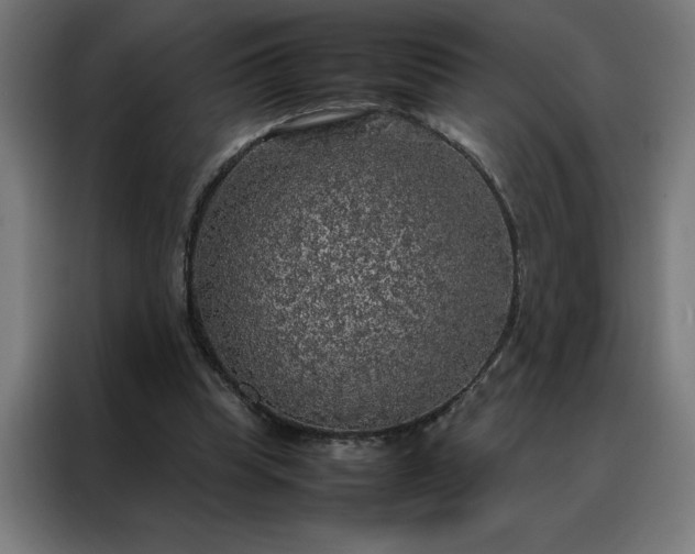 X0000088230345200705221829