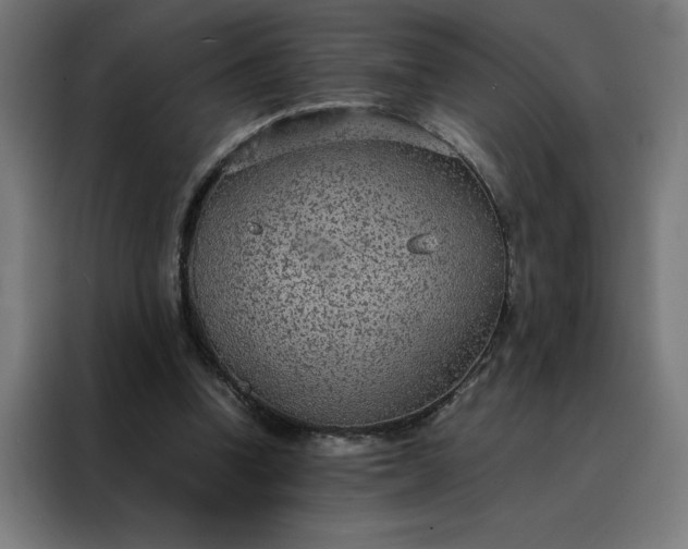 X0000088230346200705221829