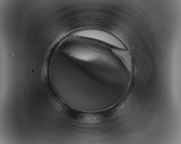 X0000088230347200705221829