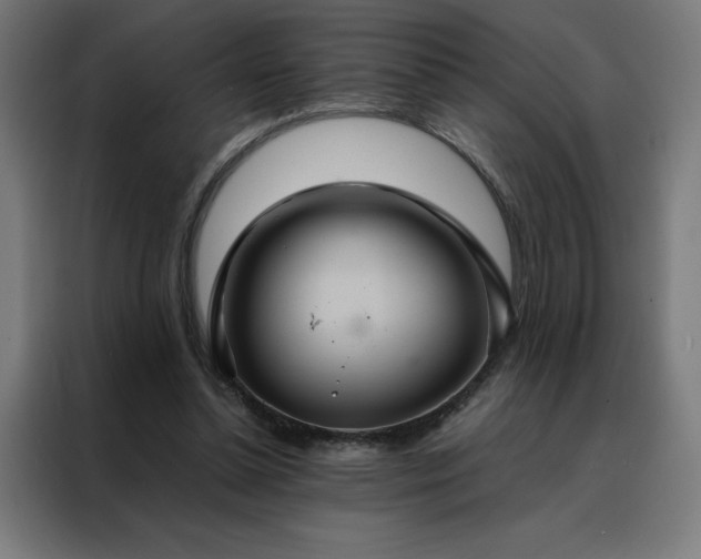 X0000088230348200705221829