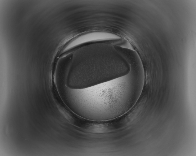X0000088230349200705221829