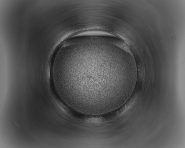 X0000088230350200705221829