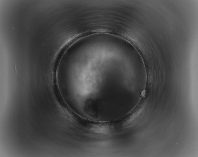 X0000088230351200705221829