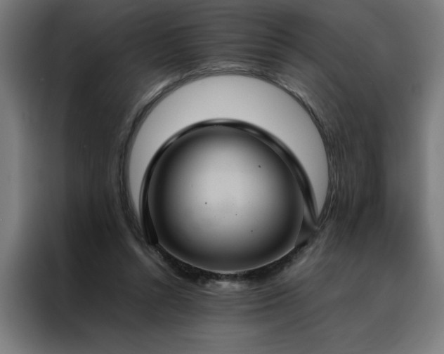 X0000088230352200705221829