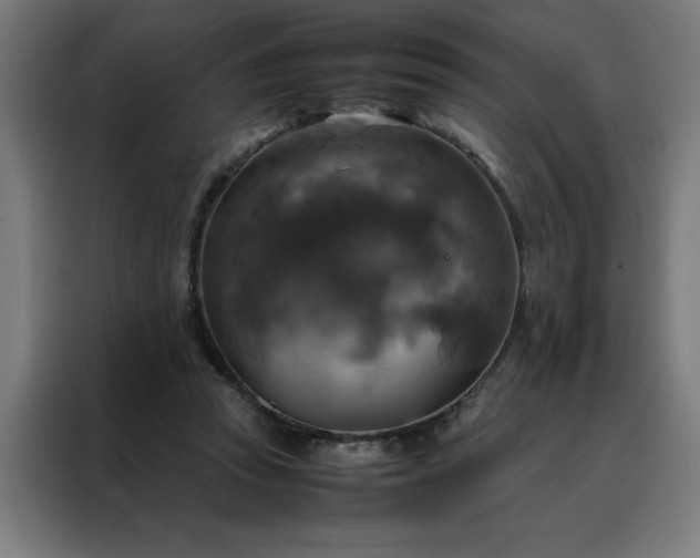 X0000088230353200705221829