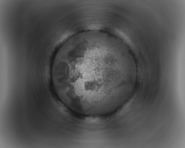 X0000088230354200705221829