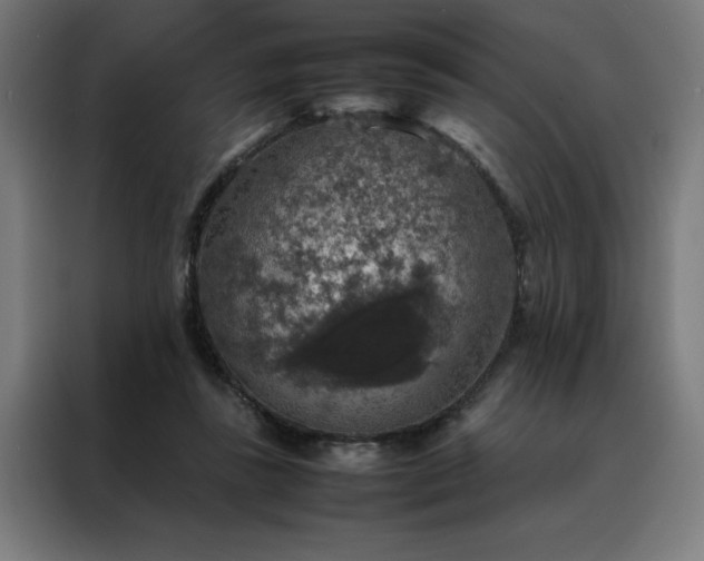 X0000088230355200705221829