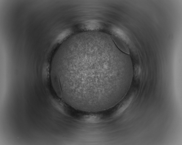 X0000088230356200705221829
