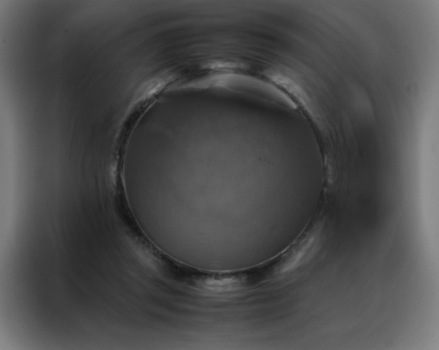 X0000088230357200705221829