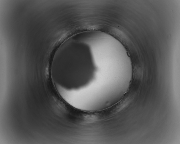 X0000088230358200705221829