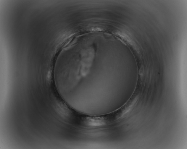 X0000088230359200705221829