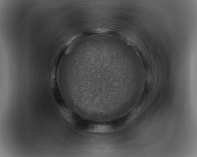X0000088230360200705221829