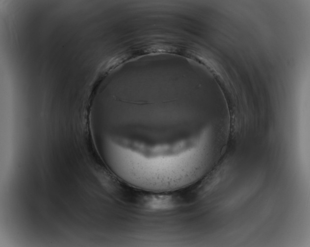 X0000088230361200705221829