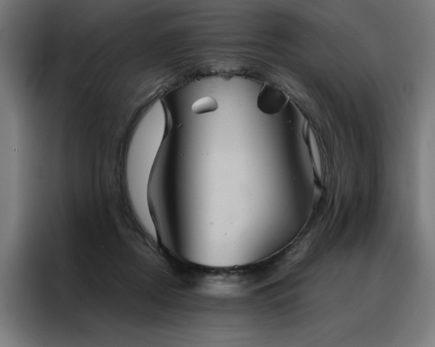 X0000088230362200705221829