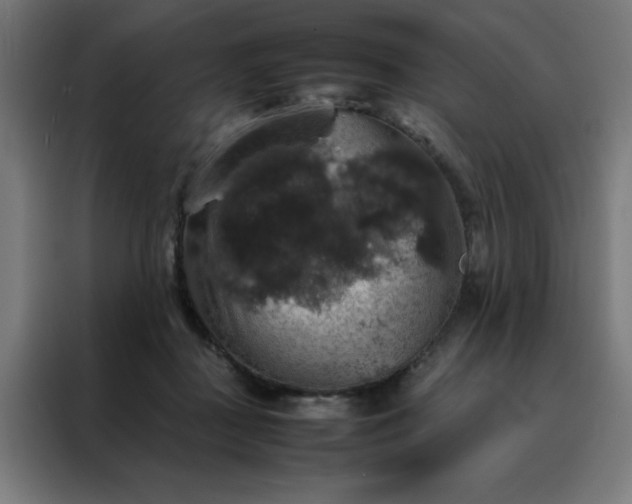 X0000088230363200705221829