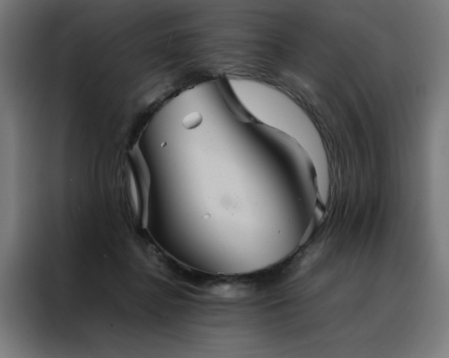 X0000088230364200705221829
