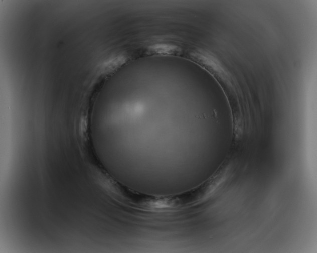 X0000088230365200705221829