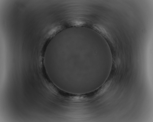 X0000088230366200705221829