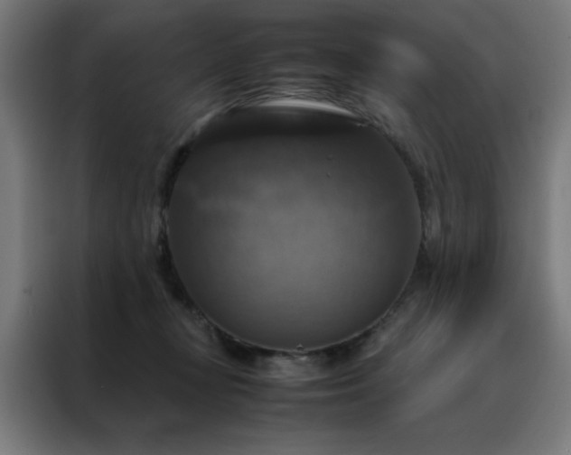 X0000088230367200705221829