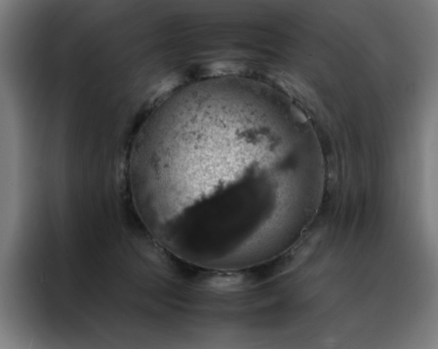 X0000088230369200705221830