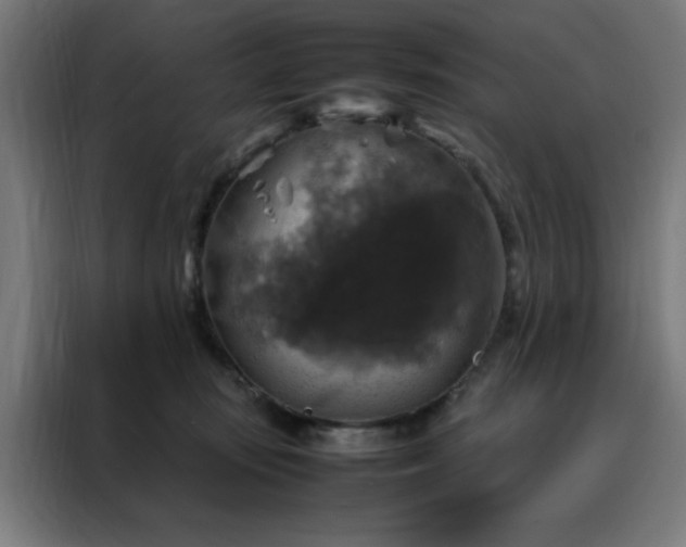 X0000088230371200705221830