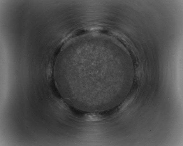 X0000088230372200705221830