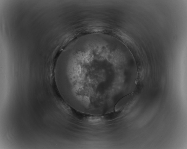 X0000088230373200705221830