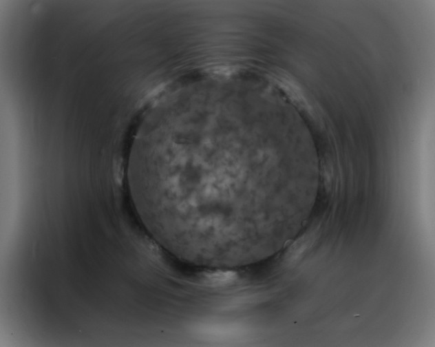 X0000088230374200705221830