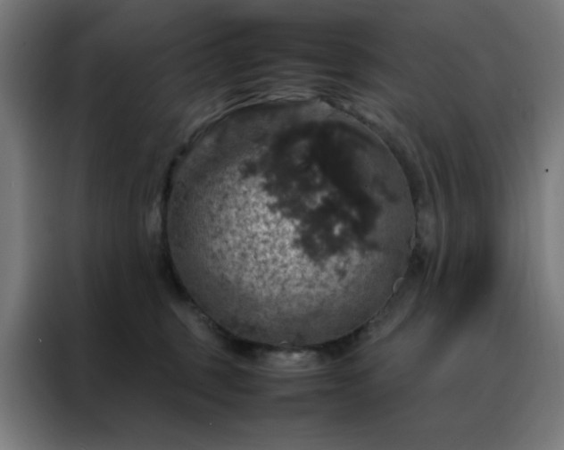 X0000088230375200705221830