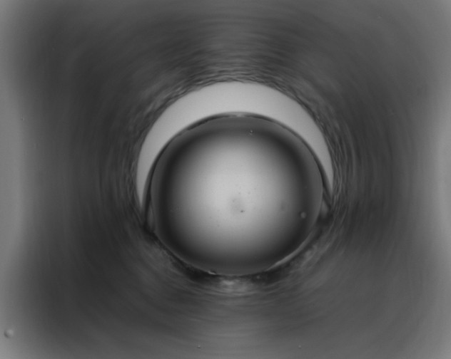 X0000088230376200705221830