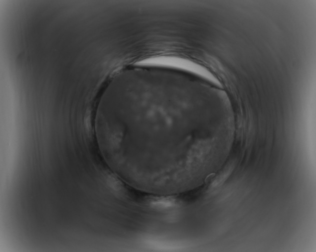 X0000088230377200705221830