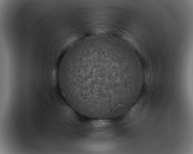 X0000088230378200705221830