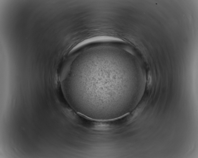 X0000088230380200705221830