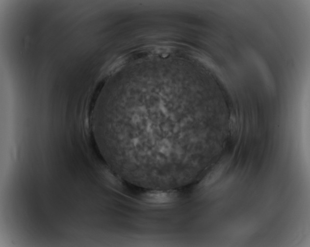 X0000088230381200705221830