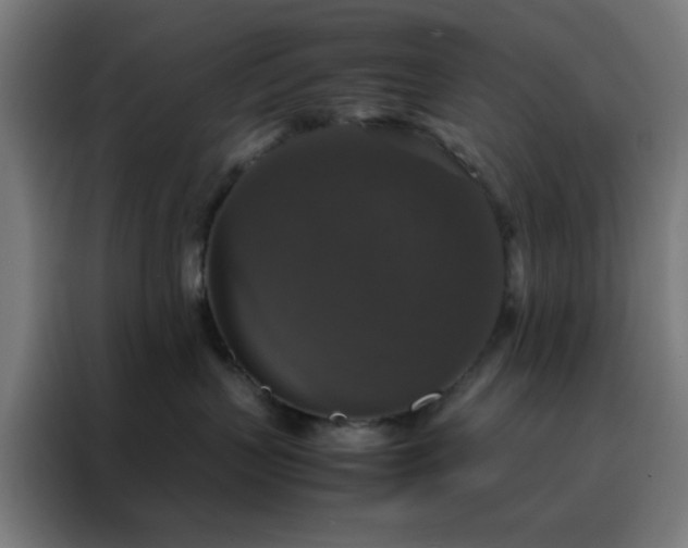 X0000088230383200705221830