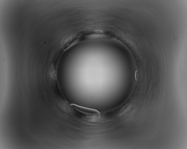 X0000088230384200705221830