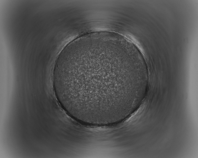 X0000088230385200705221829