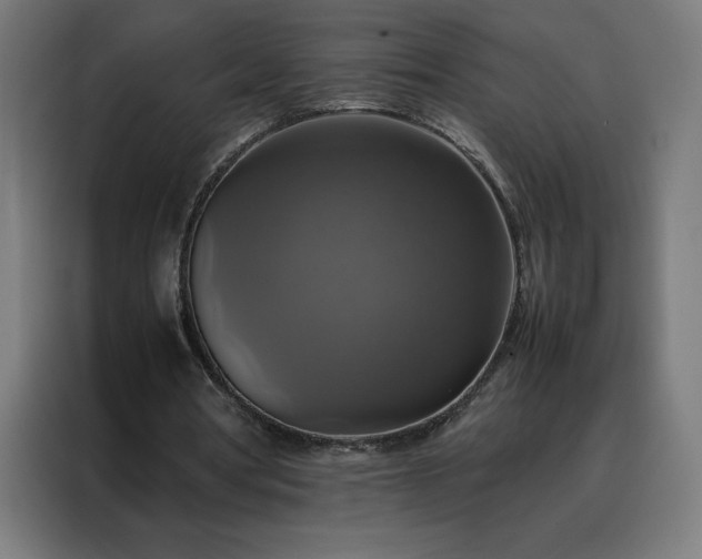X0000088230386200705221829