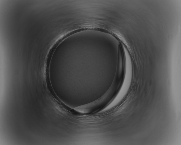 X0000088230387200705221829