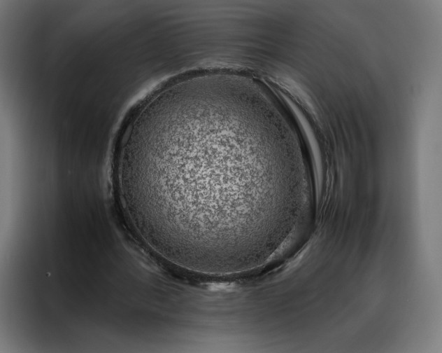 X0000088230388200705221829