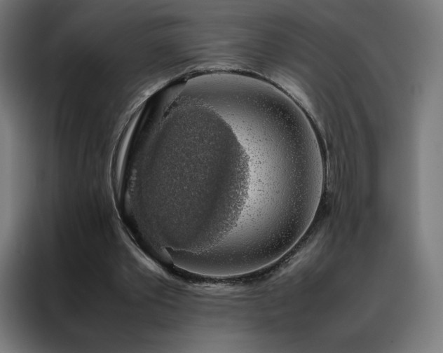 X0000088230389200705221829
