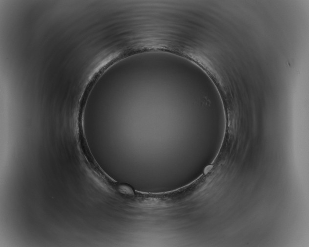 X0000088230390200705221829