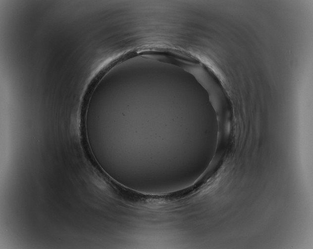 X0000088230391200705221829