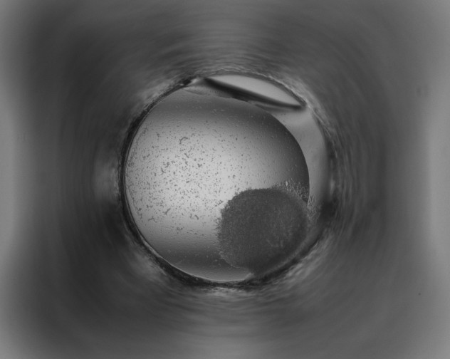 X0000088230393200705221829