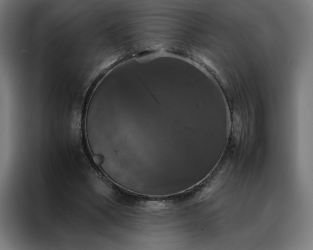 X0000088230394200705221829