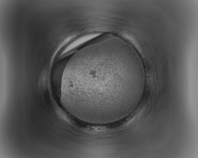 X0000088230395200705221829